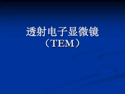 透射电子显微镜(TEM)