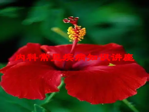 内科常见疾病知识讲座培训课件