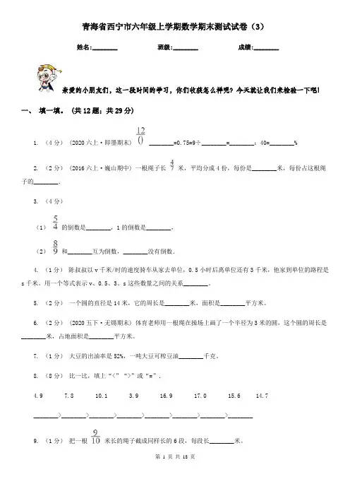 青海省西宁市六年级上学期数学期末测试试卷(3)