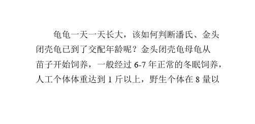 闭壳龟的性成熟判断