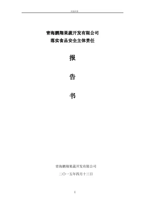 落实食品安全主体责任报告
