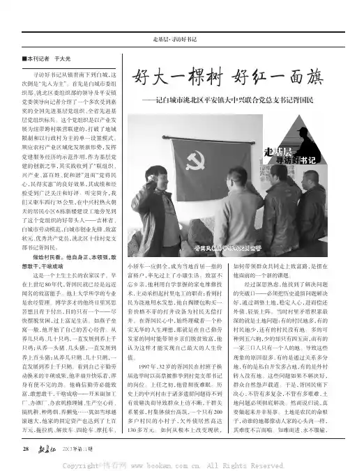 好大一棵树好红一面旗——记白城市洮北区平安镇大中兴联合党总支书记胥国民