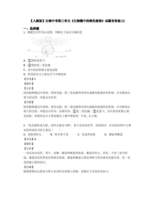 【人教版】生物中考第三单元《生物圈中的绿色植物》试题含答案(1)