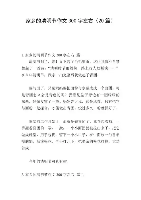 家乡的清明节作文300字左右(20篇)
