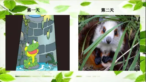 二年级上册《我要的是葫芦》12张PPT 部编版