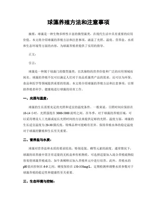 球藻养殖方法和注意事项