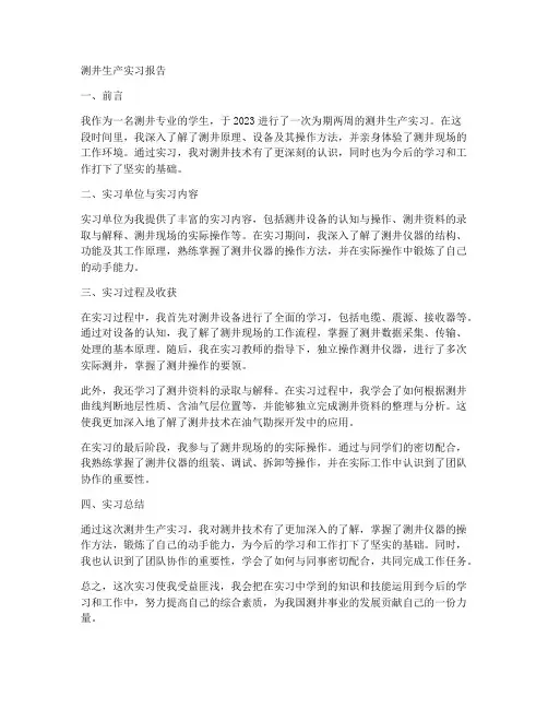 测井生产实习报告