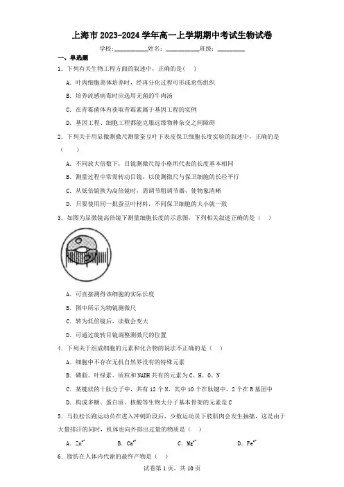 上海市2023-2024学年高一上学期期中考试生物试卷(含解析)