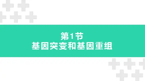 第5章 第1节 基因突变和基因重组 说课 课件 高一下学期生物人教版必修2