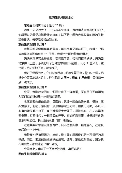 葱的生长观察日记（通用20篇）