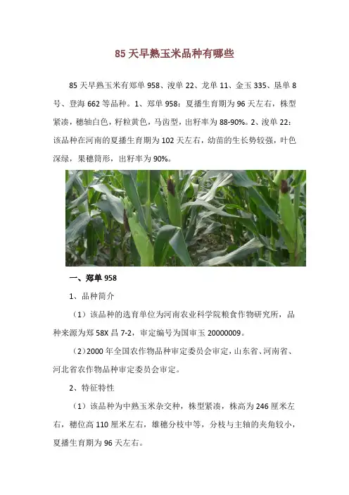 85天早熟玉米品种有哪些