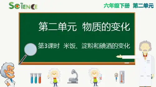 米饭淀粉和碘酒的变化小学六年级下册科学PPT课件