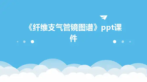 《纤维支气管镜图谱》课件