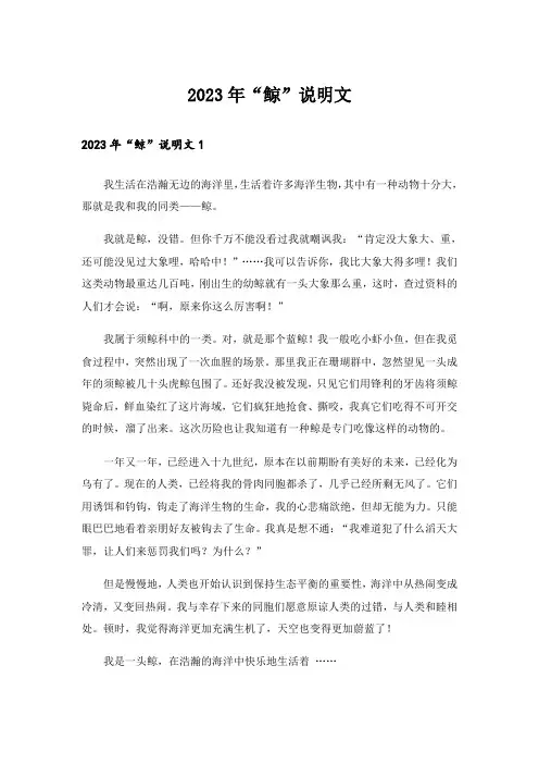 2023年“鲸”说明文