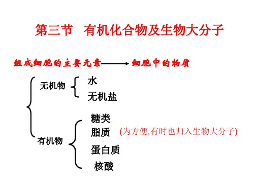 有机化合物及生物大分子——糖类脂质蛋白质汇总