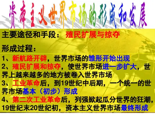 资本主义世界市场的形成和发展
