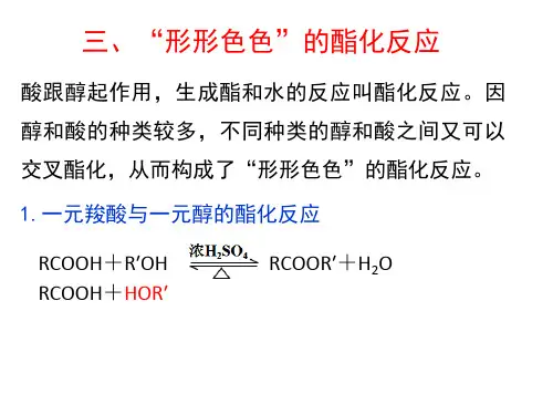 羧酸的性质与应用
