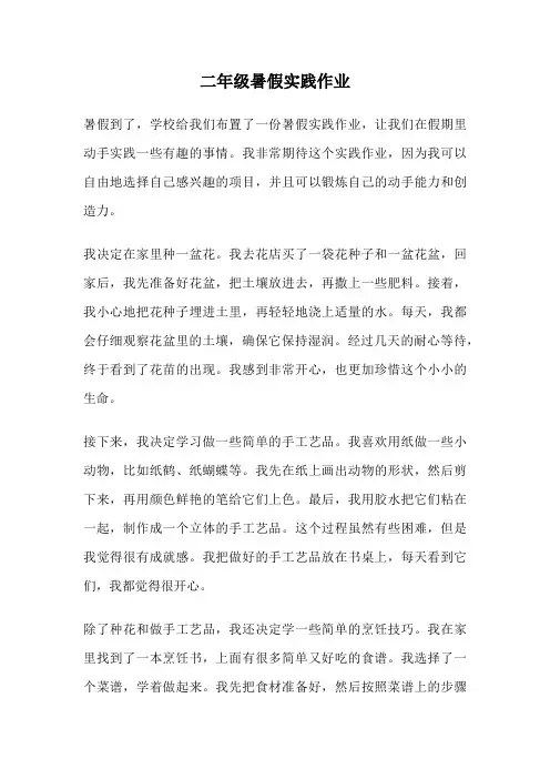 二年级暑假实践作业