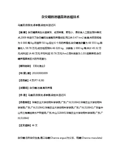 杂交鳢的池塘高效养殖技术