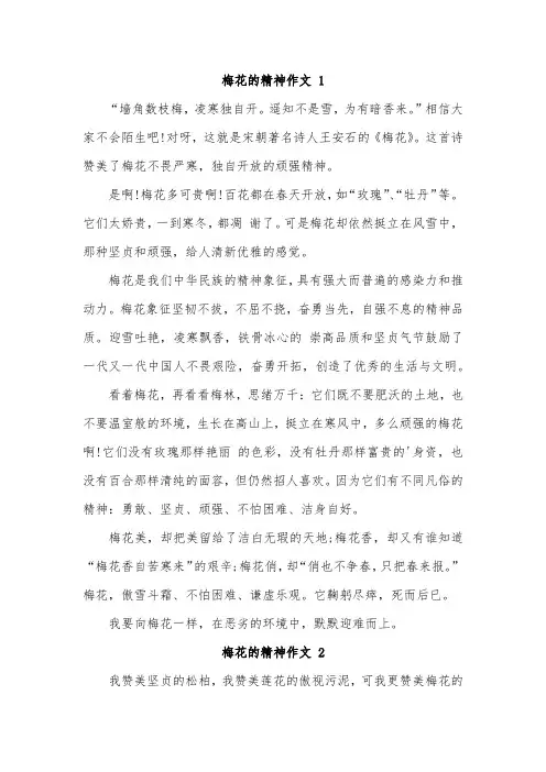梅花的精神300字作文