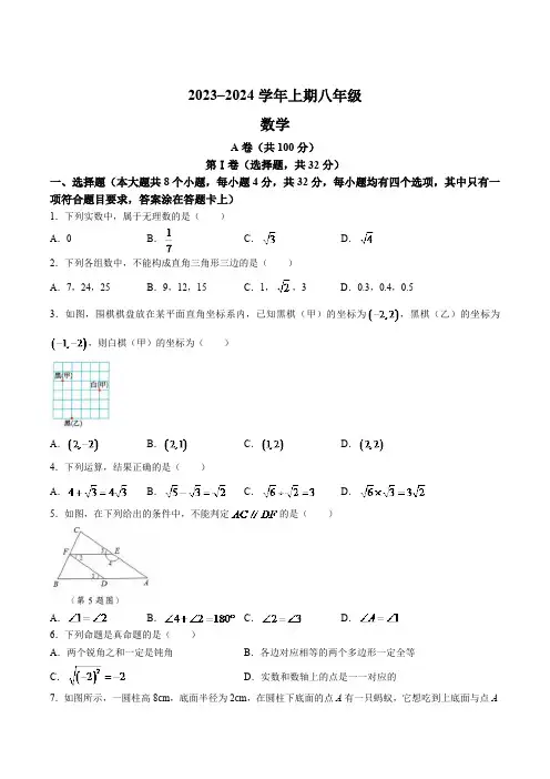 四川省成都市天府新区2023-2024学年八年级上学期期末考试数学试卷(含答案)