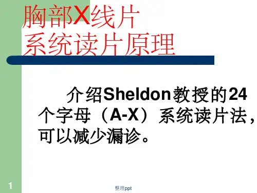 胸部X线片系统读片(1)