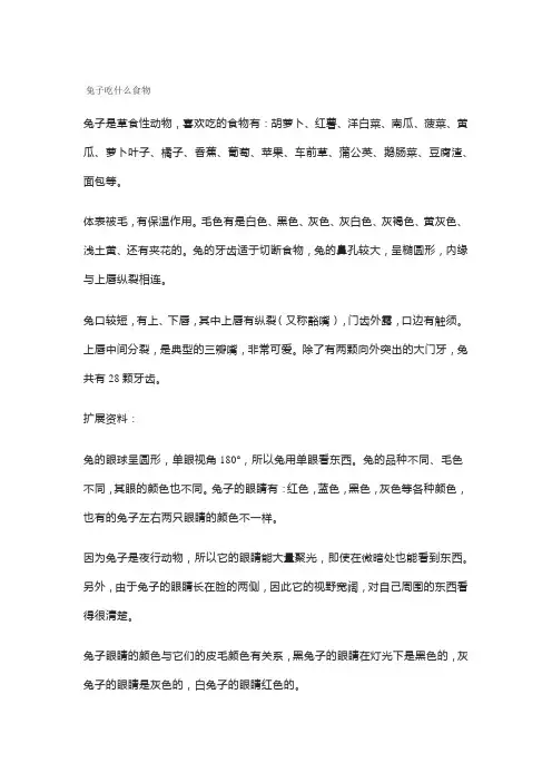 兔子吃什么食物