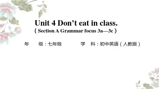 Unit 4  课件 人教版英语七年级下册
