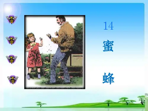 人教部编版三年级下册语文课件：14蜜蜂(共16张PPT)