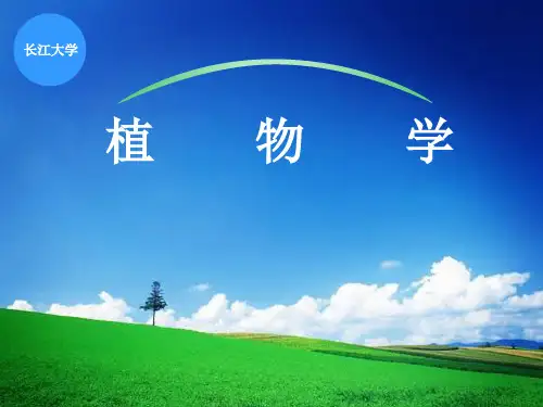 课件---植物学绪论