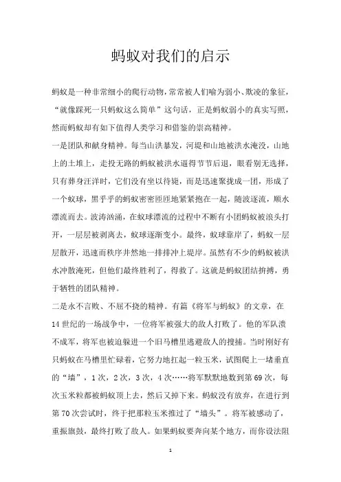 蚂蚁对我们的启示