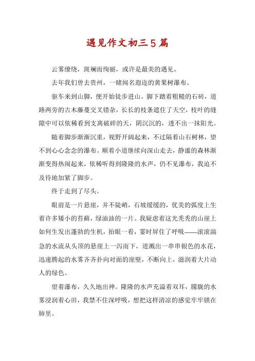 遇见作文初三5篇