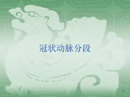 冠状动脉分段ppt课件