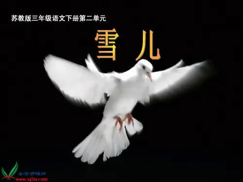 5《雪儿》PPT