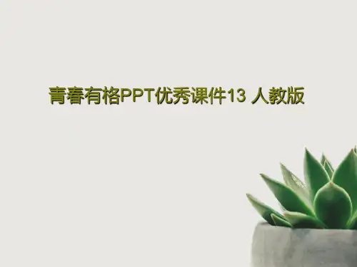 青春有格PPT优秀课件13 人教版共39页文档