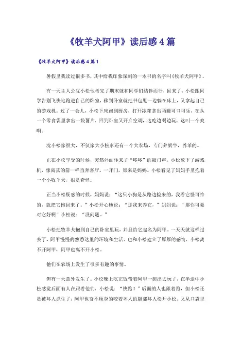 《牧羊犬阿甲》读后感4篇