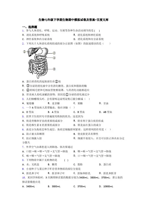 生物七年级下学期生物期中模拟试卷及答案-百度文库