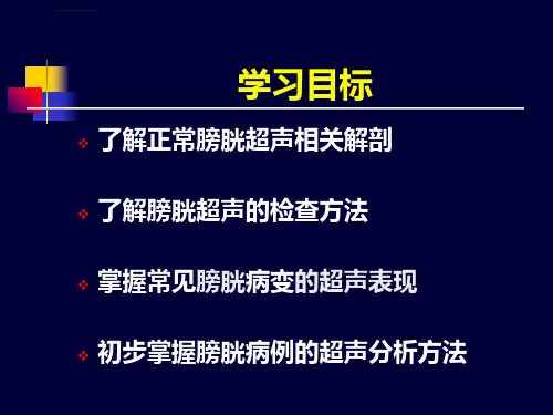 医学超声影像学膀胱超声ppt课件