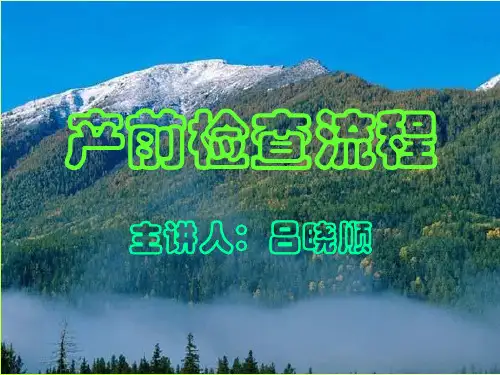 产前检查流程ppt课件