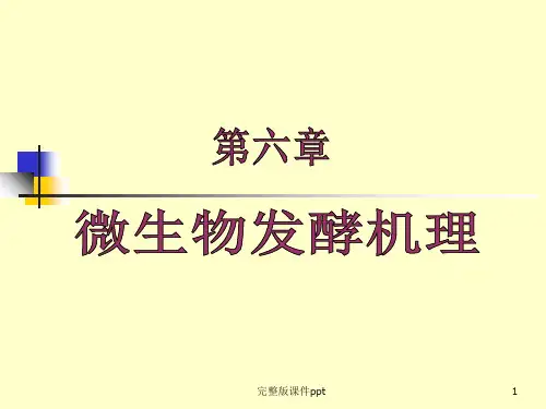 《微生物发酵机理》PPT课件