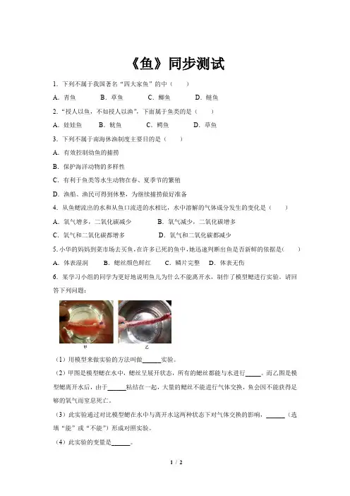 《第四节 鱼》同步测试练习试卷【初中生物人教版八年级上册】