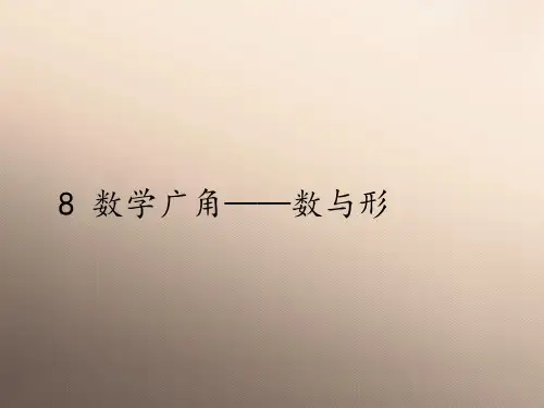 六年级上册数学课件-8 数学广角——数与形｜人教版(共12张PPT)