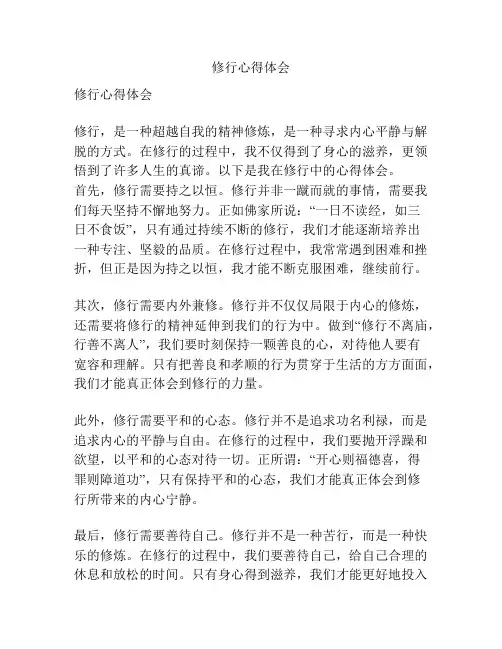 修行心得体会
