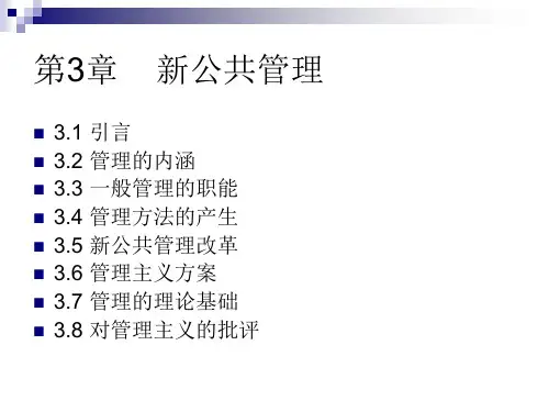 《新公共管理》PPT课件