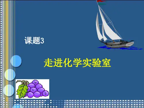 初中化学《走进化学实验室》精品PPT课件