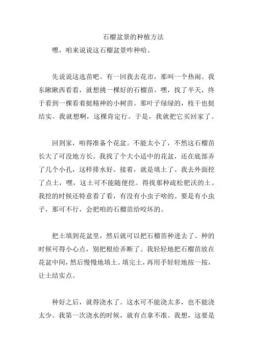 石榴盆景的种植方法