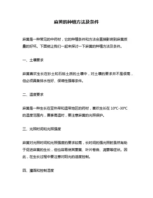 麻黄的种植方法及条件