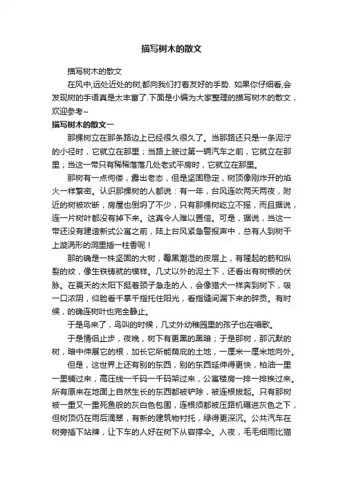 描写树木的散文