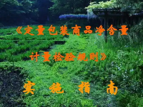 定量包装商品净含量计量检验规则实施指南