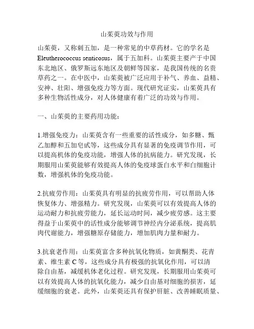 山茱萸功效与作用